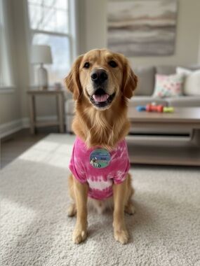 Blended Pink Tie-Dye Dog Tee — Soft Casual Shirt for Dogs